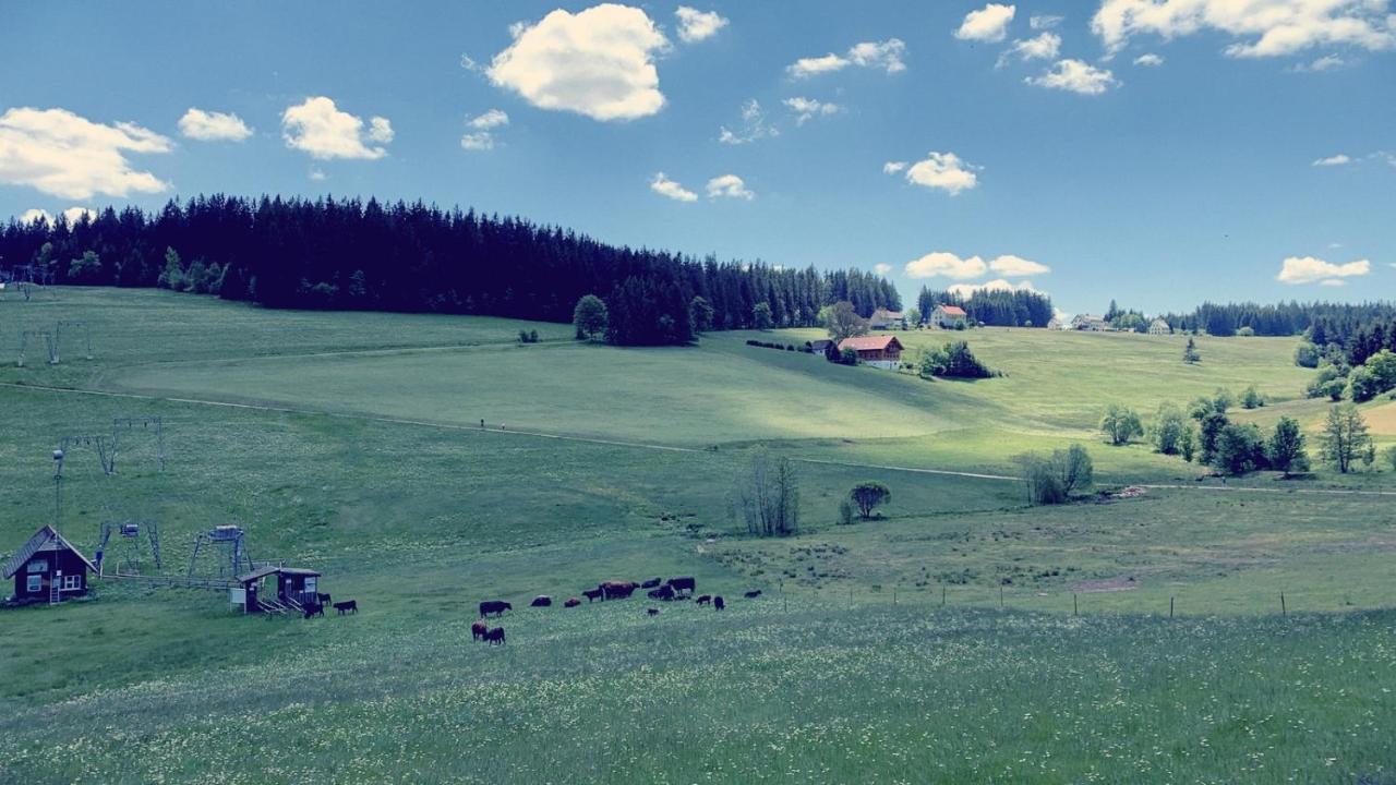 SchönwaldeDaheim Im Hirschenアパートメント エクステリア 写真